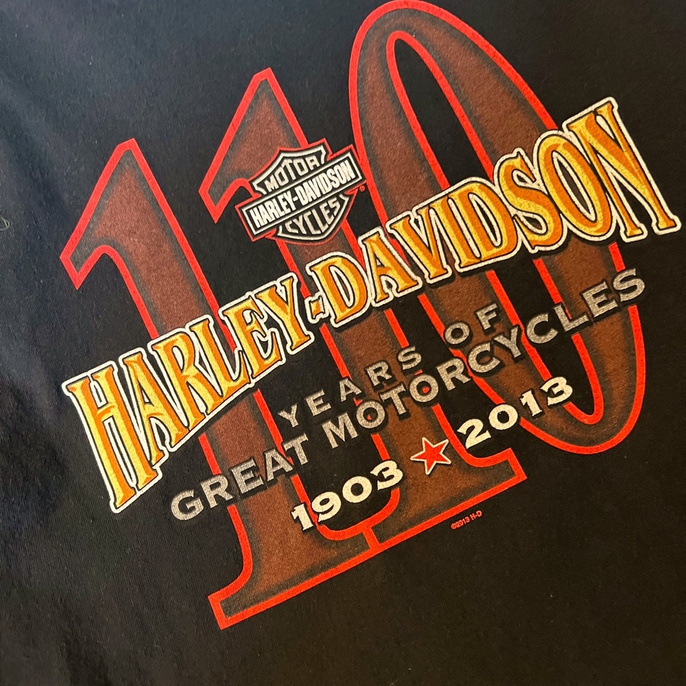Harley-Davidson 110th Anniversary short sleeve shirt, Men’s L, EUC
